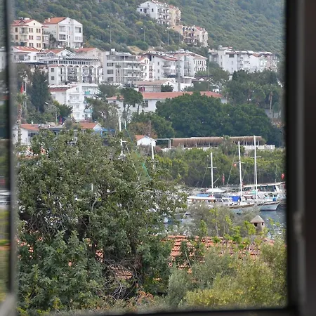 בית אירוח Yali *